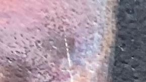 Blanca Estela Deloya obtiene su residencia gracias a una petición de su hija reservista del ejército de EE UU. (Araceli Martínez/La Opinión).