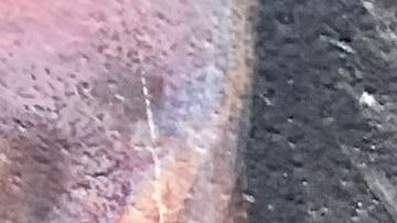 Blanca Estela Deloya obtiene su residencia gracias a una petición de su hija reservista del ejército de EE UU. (Araceli Martínez/La Opinión).