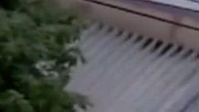 Los bomberos están investigando las causas del incendio.