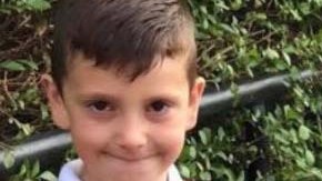 Muertes por gripe
