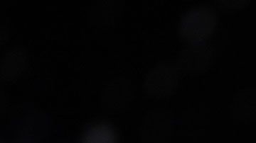 La empresa está pidiendo que se vuelva a evaluar su propuesta para obtener el contrato.