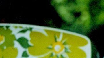 El cantante mexicano José José tuvo varios amoríos en su etapa más exitosa