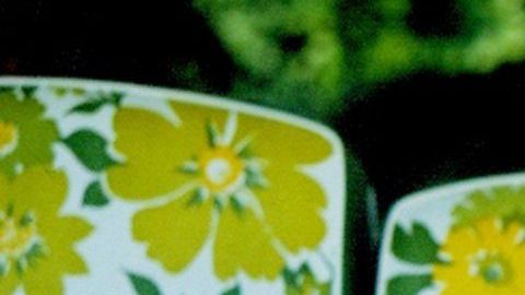 El cantante mexicano José José tuvo varios amoríos en su etapa más exitosa