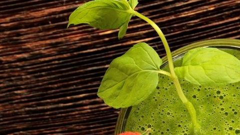 jugo verde