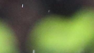 El Inter de MiIán se juega el pase contra el Barcelona en la última jornada.