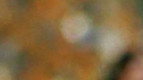 Reese Witherspoon protagonizó "Legally Blonde"