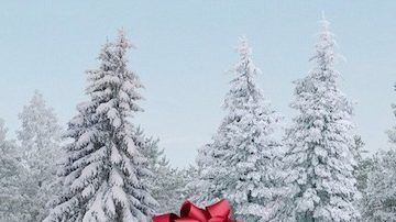 Lexus lleva 20 años llevando a cabo su campaña de "December remember"