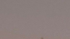 Luis Fonsi y su familia celebrando en Disney World