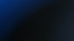 Mark van Bommel duró 18 meses en el cargo.