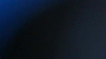 Mark van Bommel duró 18 meses en el cargo.