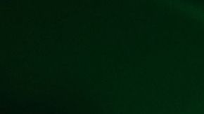 La silueta de Andy Ruiz en su camino al ring.