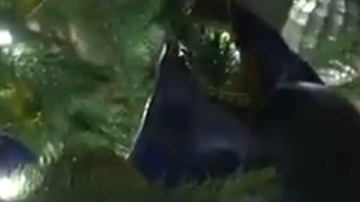 La Primera Dama compartió un video en su cuenta de Twitter.