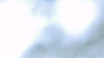 Agustín Marchesín cosechó un éxito más en la Liga Nos.