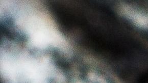 Las moscas no sólo son molestas sino que pueden contraer enfermedades.