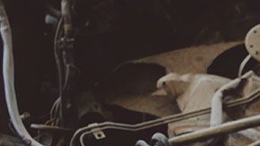 Las chicas están demostrando que pueden desempeñarse tan bien como los hombres en estas industrias.