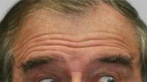 Fox, "El Mayo" y Calderón.