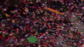 Este evento será previo a la concentración de más de 1 millón de personas en la emblemática plaza de Manhattan.