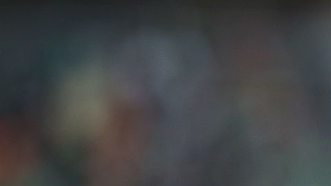 Javier Hernández no será refuerzo de Chivas para el Clausura 2019.