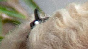 Niurka Marcos y Emilio Osorio.