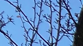 Vista exterior de una oficina de Motores y Vehículos en Queens.