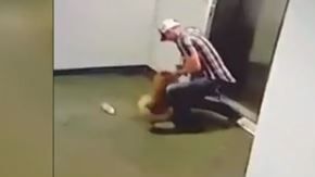 El rescate ocurrió el lunes pasado.