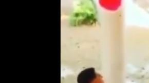 Hubo alguien quien le quitó lo romántico al momento.