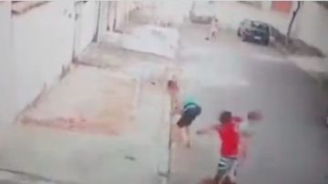 Niño es atacado por un perro pitbull.