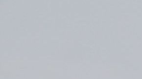 Ceppelini y Jurado ya debutaron en partido amistoso.