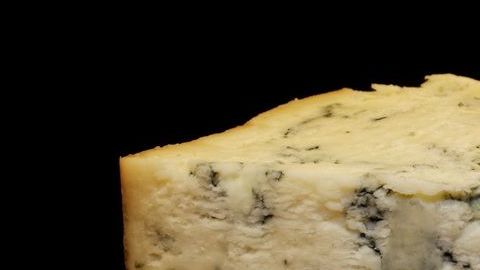 queso hongo-pxhere
