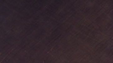 José Ron es 'Ringo'