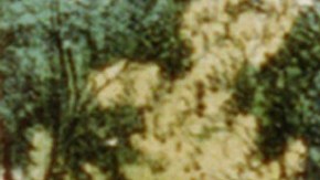 Imagen clásica de la obra Robison Crusoe.