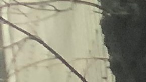 Manifestantes frente a las oficinas del Gobernador Andrew Cuomo pidieron protecciones frente al robo de salarios.