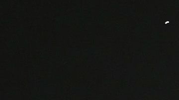 Netflix "Roma" Premiere