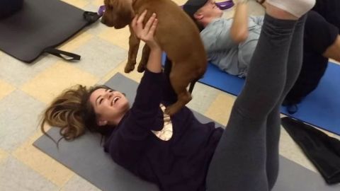 Pilates con perritos.