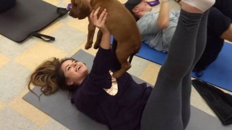 Pilates con perritos.