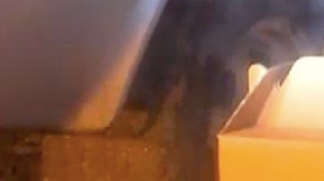 Se hallaron 100 gallos en el sitio.