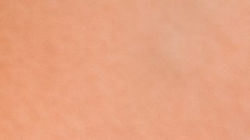 shutterstock_1024713424