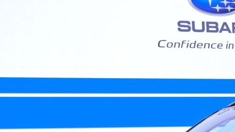 shutterstock_1027773115