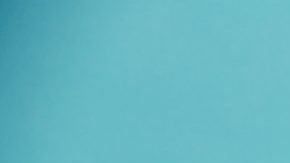 shutterstock_1036178347