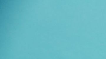 shutterstock_1036178347