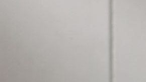 shutterstock_1037558854