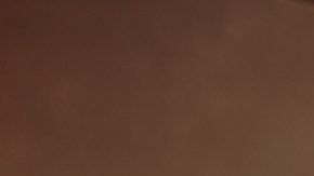 shutterstock_1043256988