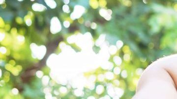 shutterstock_1163076853