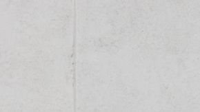 shutterstock_1180487518