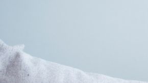 shutterstock_1233393181