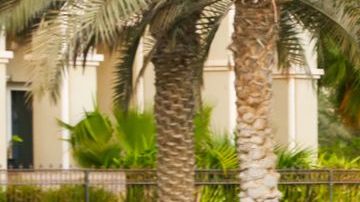 shutterstock_1254000319