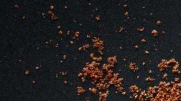 shutterstock_1383216440