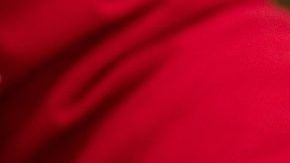 shutterstock_1473803288