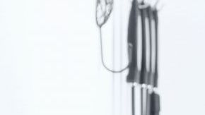 shutterstock_323107886