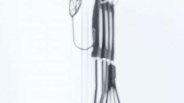 shutterstock_323107886